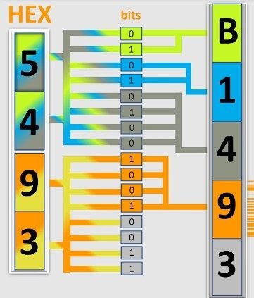 DTC B1493 Hyundai What are the Possible Causes of the DTC Code B1493 Hyundai